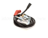 58100 Blodgett Kit,Pilot Assembly W/Wire Ng Ha