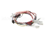 130121 Globe Wiring Harness 4600