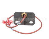 58700 Blodgett Switch Assembly,Door Bc20