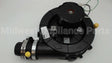 58W01 Lennox Induced Draft Blower Assembly