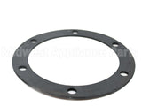 590-317-495 Weil Mclain Round Tankless Heater Gasket