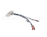 59029 Blodgett Harness, Front Ts Digi