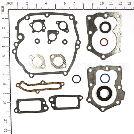 590508 Briggs & Stratton Gasket Set-Engine