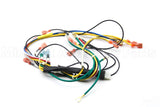 591-391-863 Weil Mclain Wiring Harness