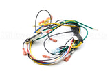 591-391-863 Weil Mclain Wiring Harness