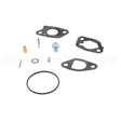 591770 Briggs & Stratton Kit-Carb Overhaul