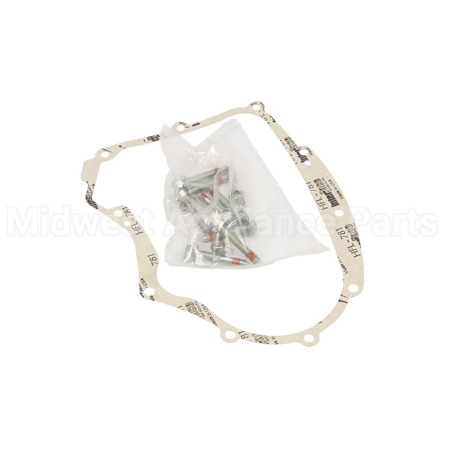 594195 Briggs & Stratton Gasket-Crankcase Kit
