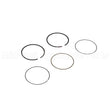 594437 Briggs & Stratton Ring Set