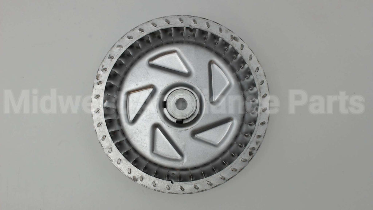 BW16549 Packard 5 1/4X1 Cw 5/16" Bore Wheel