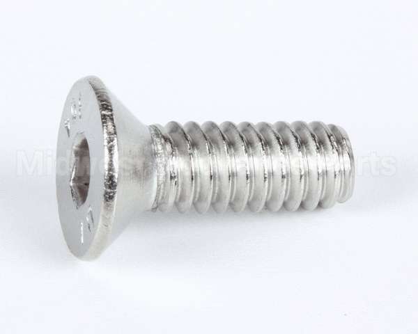 1089 Globe Screw