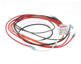 1064899 Frymaster Harness,Control W/ Cnstnt Plt