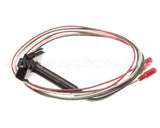 60-12723-0004 Anthony International Assy,Plug,Hinge Pin,40,Blk