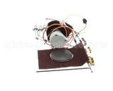 600199 Duke Kit,Gas Brlr Annual Pm-Lp W/O