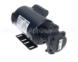 60030056 Frontline Pump & Motor