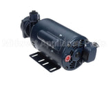 60030059 Frontline Motor & Pump