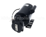 60030062 Frontline Pump And Motor Assy