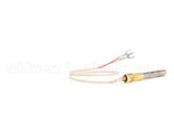 60125501 Anets Thermopile,Millivolt