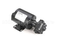 60130802 Pitco Pump,8Gpm Assembly .3Hp 240V 50Hz