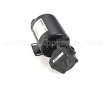 60130802 Pitco Pump,8Gpm Assembly .3Hp 240V 50Hz