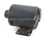 60130804 Pitco Pump,8Gpm Mot .3Hp 240V 50Hz
