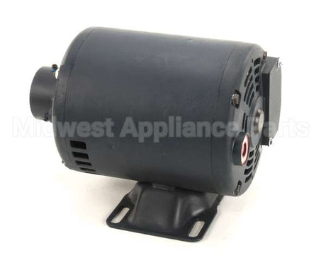 60130804 Pitco Pump,8Gpm Mot .3Hp 240V 50Hz