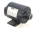 60130804 Pitco Pump,8Gpm Mot .3Hp 240V 50Hz