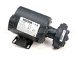 60130807 Pitco Pump,5 Gpm W/Mot 1/3Hp 240V