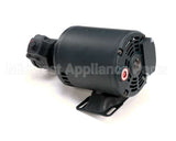 60130807 Pitco Pump,5 Gpm W/Mot 1/3Hp 240V