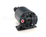 60130807 Pitco Pump,5 Gpm W/Mot 1/3Hp 240V