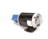 60143523 Pitco Pump,Assembly 8Gpm Spur 240V 34M