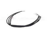 6024019 Daikin-Mcquay Thermistor Assy.