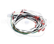 60389-001 Henny Penny Harn-120V/60/1 Ofg/Oga-32X So