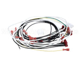 60389-001 Henny Penny Harn-120V/60/1 Ofg/Oga-32X So