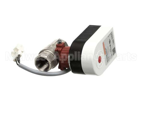 6042073 Giorik Valve, Drain, Evo, Sb