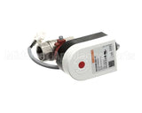 6042073 Giorik Valve, Drain, Evo, Sb