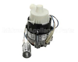 6042123 Giorik Pump, Wash, Evo, Sb