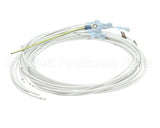 60481 Henny Penny Harness-Power/Pump Switch G321
