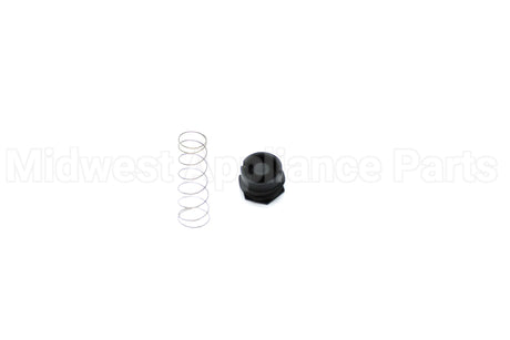 607016 Rheem-Ruud Lp To Nat Gas Valve Spring Kit
