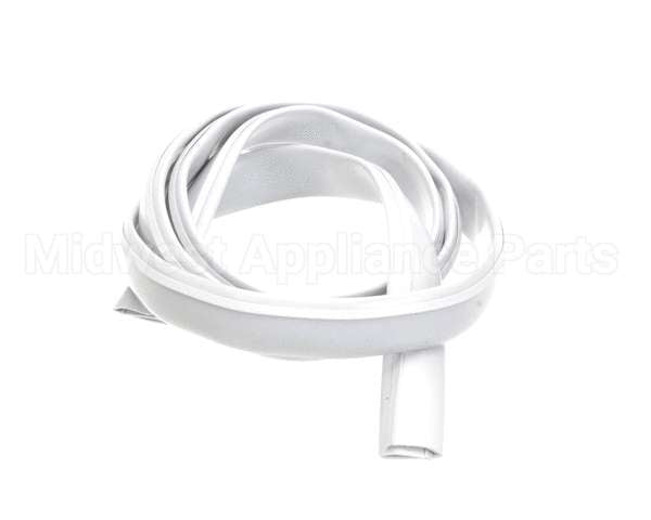 608030321 Ifi America Tonda Gasket