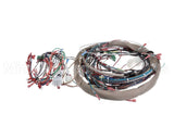 60971 Middleby Wireset,Compl Ps536Gs