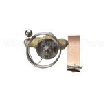 610060047 Ifi America Thermostatic Valve Ts2