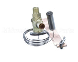 610060107 Ifi America Expansion Valve Ts2