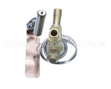 610060107 Ifi America Expansion Valve Ts2
