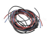 6169-7 Montague Wiring Assembly-V136