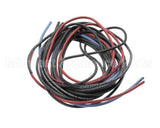 6169-7 Montague Wiring Assembly-V136