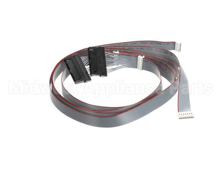 620048380 Cornelius Harness Keypad/E-Board Membrn Ada