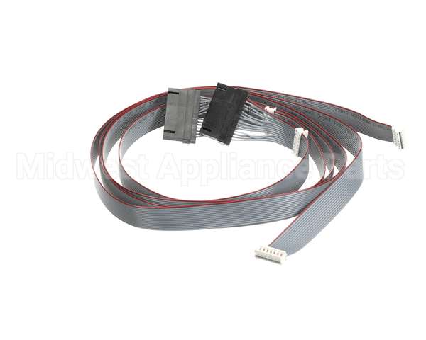 620048380 Cornelius Harness Keypad/E-Board Membrn Ada