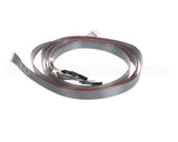 620048380 Cornelius Harness Keypad/E-Board Membrn Ada