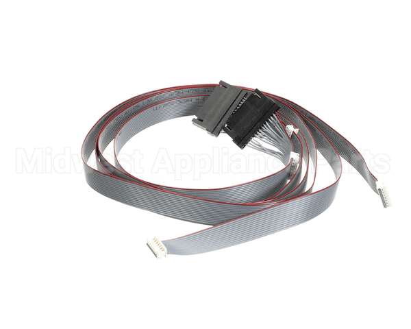 620048380 Cornelius Harness Keypad/E-Board Membrn Ada