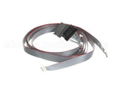 620048380 Cornelius Harness Keypad/E-Board Membrn Ada